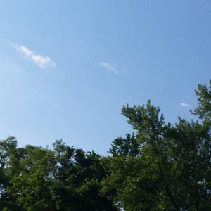 欧美成人精品一区二区综合免费
