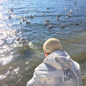 欧美成人精品一区二区综合免费
